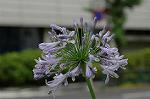 Dcim4971/DSC_8889