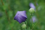 Dcim4972/DSC_8957