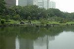 Dcim4972/DSC_8986