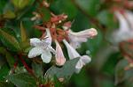 Dcim4973/DSC_9125