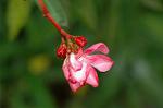 Dcim4973/DSC_9127