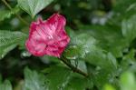 Dcim4973/DSC_9163