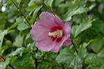 Dcim4973/DSC_9165