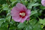 Dcim4973/DSC_9167