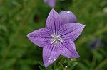 Dcim4973/DSC_9183