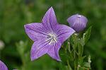 Dcim4973/DSC_9188