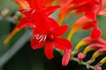 Dcim4974/DSC_9202