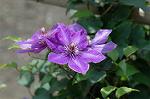 Dcim4974/DSC_9228