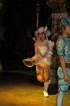 Dcim4976/DSC_9411