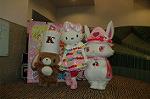 Dcim4981/DSC_0072