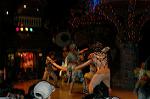 Dcim4981/DSC_0118