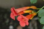 Dcim4987/DSC_0819