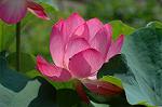 Dcim4987/DSC_0837