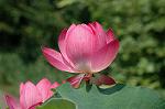 Dcim4987/DSC_0846