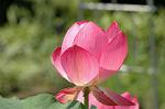 Dcim4987/DSC_0849