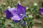 Dcim4989/DSC_1002