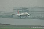 Dcim4991/DSC_1342