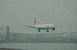 Dcim4993/DSC_1539