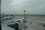 Dcim4995/DSC_1803