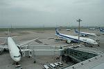 Dcim4995/DSC_1805