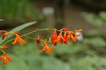 Dcim4997/DSC_2112