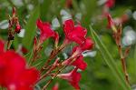 Dcim4997/DSC_2120