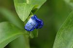 Dcim4998/DSC_2125