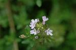 Dcim4999/DSC_2326