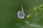 Dcim5000/DSC_2400