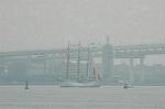 Dcim5002/DSC_2623