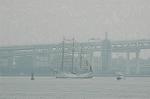 Dcim5002/DSC_2624
