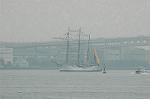 Dcim5002/DSC_2625