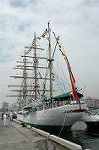 Dcim5002/DSC_2724