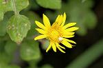 Dcim5013/DSC_3844
