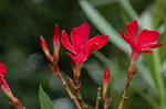 Dcim5013/DSC_3928