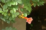 Dcim5014/DSC_3948
