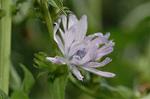 Dcim5016/DSC_4210