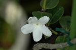 Dcim5016/DSC_4245