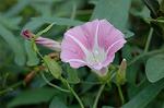 Dcim5022/DSC_4512
