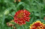 Dcim5022/DSC_4514