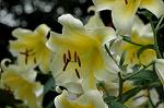 Dcim5022/DSC_4582