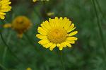 Dcim5023/DSC_4664