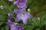 Dcim5024/DSC_4779