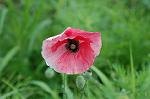 Dcim5024/DSC_4807