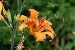 Dcim5024/DSC_4812