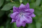 Dcim5025/DSC_4862