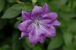 Dcim5025/DSC_4864