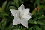 Dcim5025/DSC_4876