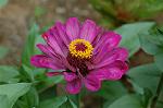 Dcim5025/DSC_4906
