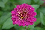 Dcim5025/DSC_4908